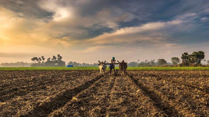 India's farm trade may rebound in second half of 2020: Fitch Solutions India's farm trade may rebound in second half of 2020: Fitch Solutions- India TV Paisa