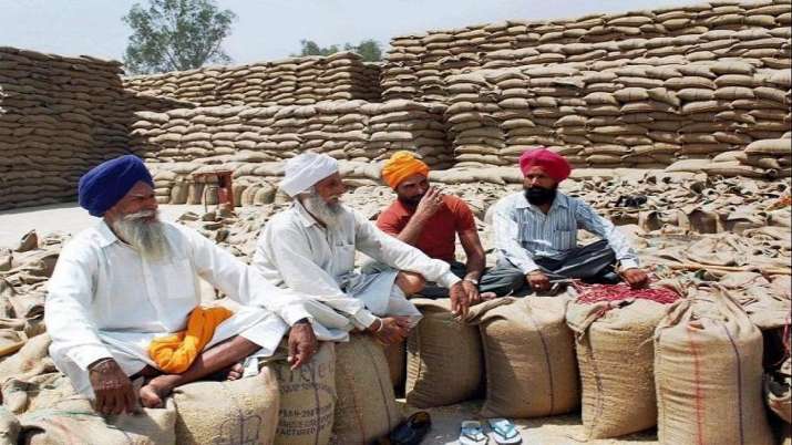 Union government nod for agricultural marketing reforms Union government nod for agricultural marketing reforms- India TV Paisa