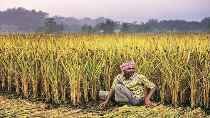 Banks sanction Rs 62,870 crore to over 70 lakh Kisan Credit Card holders Banks sanction Rs 62,870 crore to over 70 lakh Kisan Credit Card holders- India TV Paisa