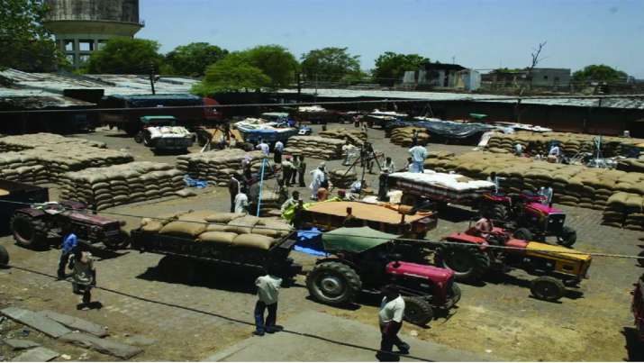 Agribazaar to treble headcount to 500 Agribazaar to treble headcount to 500- India TV Paisa