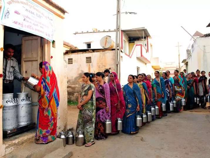 Meet 10 millionaire rural women entrepreneurs poured milk worth lacs of rupees Meet 10 millionaire rural women entrepreneurs poured milk worth lacs of rupees- India TV Paisa