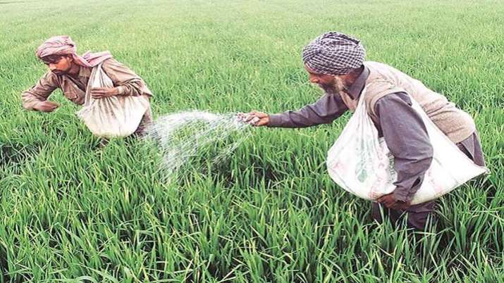 After PM Kisan Govt panel suggests cash fertiliser subsidy of Rs 5,000 per year per farmer After PM Kisan Govt panel suggests cash fertiliser subsidy of Rs 5,000 per year per farmer- India TV Paisa