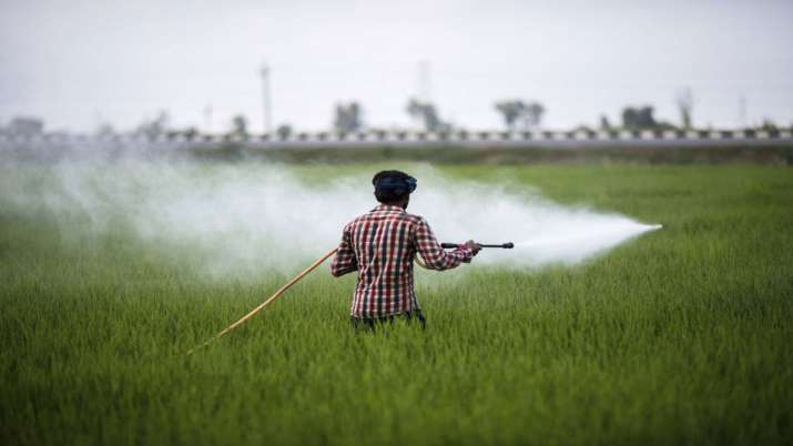 Kharif sowing touches new record at 1,095.38 lakh hectare Kharif sowing touches new record at 1,095.38 lakh hectare- India TV Paisa
