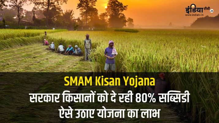 SMAM Kisan Yojana scheme how to apply online to get subsidy SMAM Kisan Yojana scheme how to apply online to get subsidy- India TV Paisa