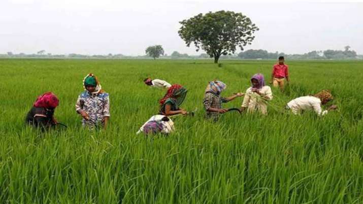 pm kisan samman nidhi yojana: if you have land then only will get Rs 6000 annually pm kisan samman nidhi yojana: if you have land then only will get Rs 6000 annually- India TV Paisa