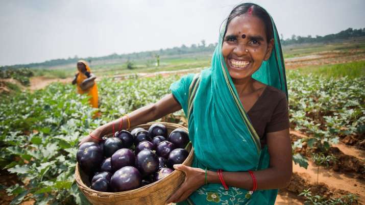 Kerala first state to fix floor price for vegetables and fruits Kerala first state to fix floor price for vegetables and fruits - India TV Paisa