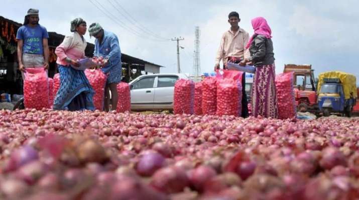 Nafed finalises bidders, issues order for supply of 15,000 tonnes of imported onions Nafed finalises bidders, issues order for supply of 15,000 tonnes of imported onions- India TV Paisa