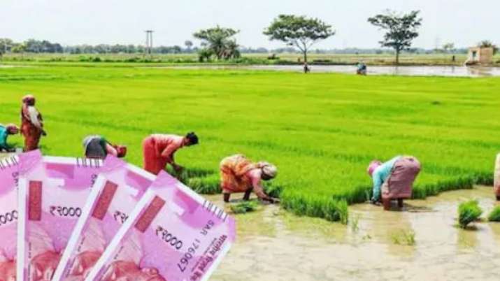PM Kisan samman nidhi scheme: खाते में नहीं आए 6,000 रुपये तो यहां तुरंत करें फोन PM Kisan samman nidhi scheme: खाते में नहीं आए 6,000 रुपये तो यहां तुरंत करें फोन- India TV Paisa
