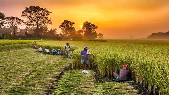 PM Kisan Nidhi PM Kisan Nidhi- India TV Paisa
