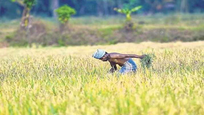 PM Kisan Samman Nidhi Yojana: 1.73 लाख से ज्यादा किसानों के खातों में नहीं पहुंची छठवीं किस्त, आप PM Kisan Samman Nidhi Yojana: 1.73 लाख से ज्यादा किसानों के खातों में नहीं पहुंची छठवीं किस्त, आप - India TV Paisa