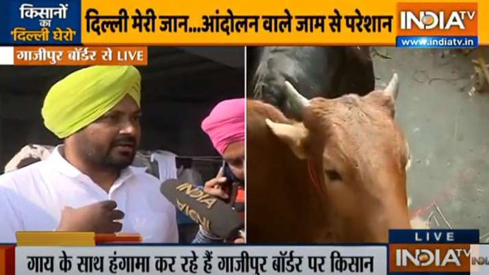 अपनी गायों को भी आंदोलन में लेकर पहुंचे किसान, कहा- गांव में पशु भूखे नहीं रह सकते अपनी गायों को भी आंदोलन में लेकर पहुंचे किसान, कहा- गांव में पशु भूखे नहीं रह सकते