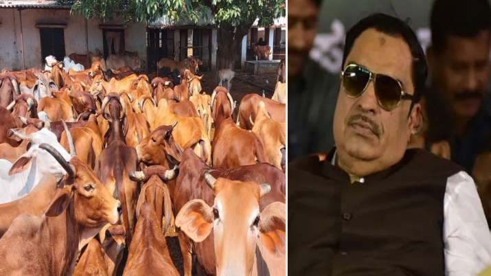 कांग्रेस नेता इब्राहिम ने किया गोहत्या पर बैन का स्वागत, मुसलमानों से गोमांस नहीं खाने की अपील की