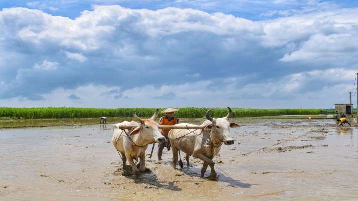 nitin gadkari launches Vedic paint soon to improve villager farmers economy । Vedic Paint: इस तरह कि nitin gadkari launches Vedic paint soon to improve villager farmers economy । Vedic Paint: इस तरह कि- India TV Paisa