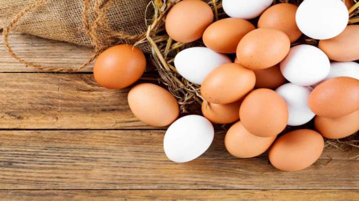 iit delhi invented vegetarian eggs iit delhi invented vegetarian eggs- India TV Paisa