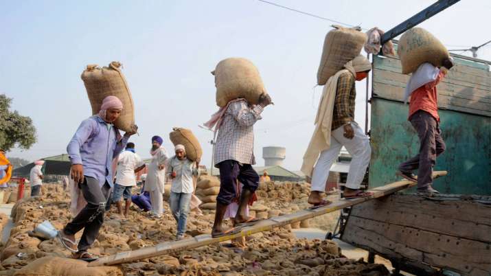 24 फीसदी बढ़ी धान की... 24 फीसदी बढ़ी धान की...- India TV Paisa
