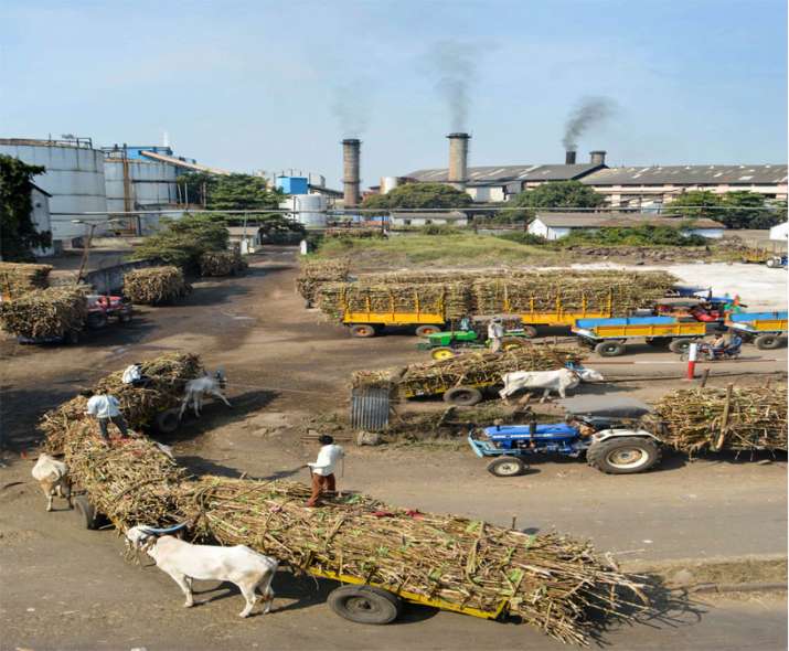 Despite the higher production, the price of jaggery has been rising by about Rs 200 per quintal sinc Despite the higher production, the price of jaggery has been rising by about Rs 200 per quintal sinc- India TV Paisa