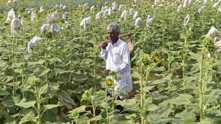 Tamil Nadu government announces farm loan waiver Tamil Nadu government announces farm loan waiver- India TV Paisa