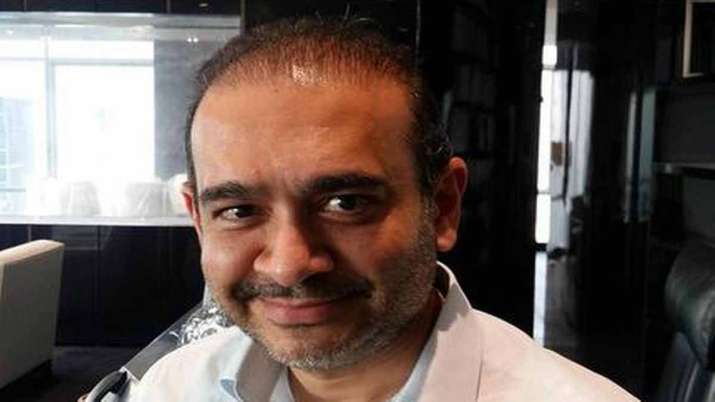 nirav modi PNB scam case Chronology full event fraud revealed date details nirav modi PNB scam case Chronology full event fraud revealed date details- India TV Paisa