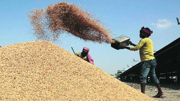 wheat procurement on msp mp farmers get relief wheat procurement on msp mp farmers get relief - India TV Paisa
