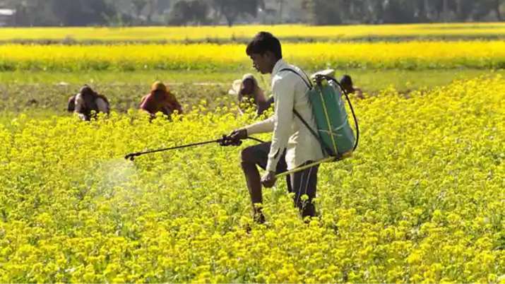 90 लाख टन सरसों का... 90 लाख टन सरसों का...- India TV Paisa