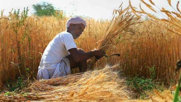 PM kisan samman nidhi yojana how to get kisan beneficiary benefits after death see steps process det PM kisan samman nidhi yojana how to get kisan beneficiary benefits after death see steps process det- India TV Paisa