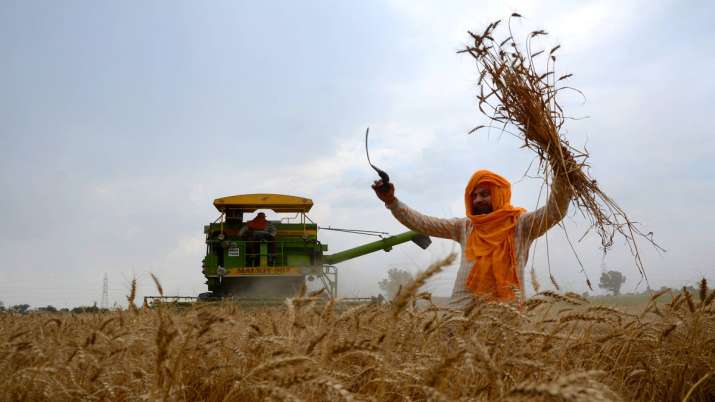 make payment to farmers , Uttarakhand government given Rs 198.64 cr to sugar mills make payment to farmers , Uttarakhand government given Rs 198.64 cr to sugar mills - India TV Paisa