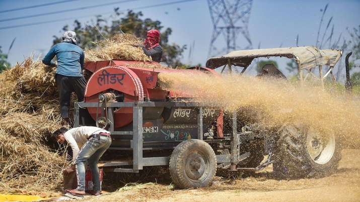 Farmer paid 49,965 crore rupees in bank account after wheat purchase गेहूं खरीद: केंद्र सरकार ने किस- India TV Paisa