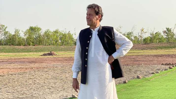 PM Imran Khan announced this monsoon season plantation drive, biggest in Pakistan's history PM Imran Khan announced this monsoon season plantation drive, biggest in Pakistan's history- India TV Paisa