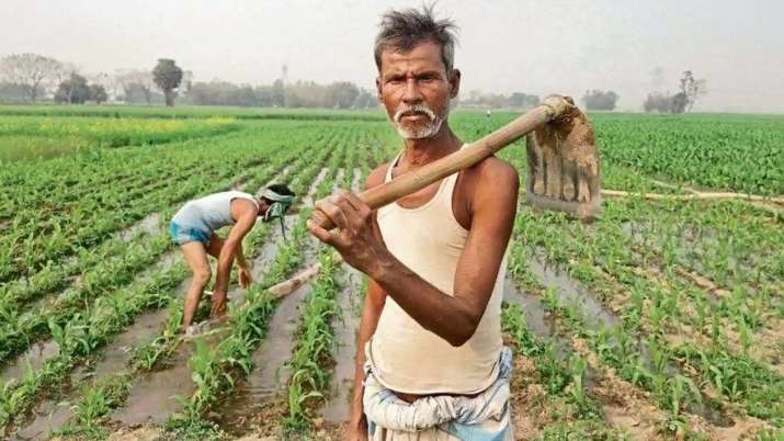 rajasthan government approved cm kisan mitra scheme for farmers rajasthan government approved cm kisan mitra scheme for farmers - India TV Paisa