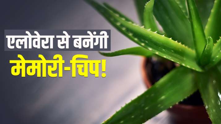 मेमोरी-चिप बनाने में... मेमोरी-चिप बनाने में...- India TV Paisa