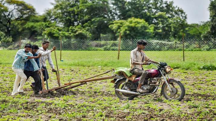 Kisan Mitra Urja Yojana farmers to get 12000 yearly as grant for electricity Kisan Mitra Urja Yojana Kisan Mitra Urja Yojana farmers to get 12000 yearly as grant for electricity Kisan Mitra Urja Yojana- India TV Paisa