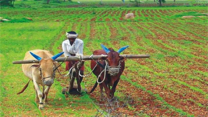 किसानों का कर्ज माफ करने का कोई प्रस्ताव विचाराधीन नहीं: सरकार किसानों का कर्ज माफ करने का कोई प्रस्ताव विचाराधीन नहीं: सरकार- India TV Paisa