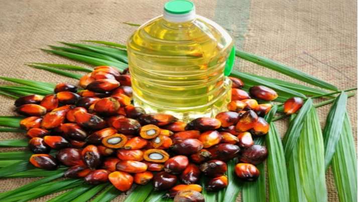 India's July palm oil imports dip over 43 pc to 4.65 lakh tonne- India TV Paisa