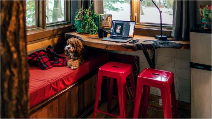 Vastu Tips: आग्नेय कोण में लाल रंग करवाने के क्या हैं फायदे और नुकसान?