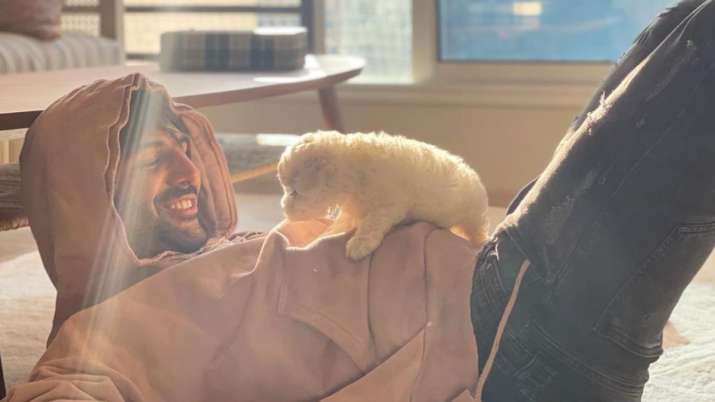 कार्तिक आर्यन ने अपने फैंस को अपने पेट ‘कटोरी’ से मिलवाया, कृति सैनन ने दिया ये रिएक्शन