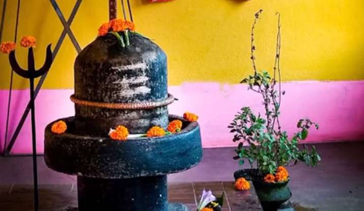 Maha Shivratri 2022: महाशिवरात्रि के दिन भगवान शिव को बिल्कुल भी अर्पित न करें ये पांच चीजें, नहीं मिलेगा पूजा का फल