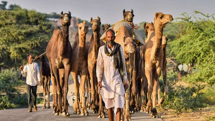 राजस्थान में बदल सकता है मौसम का मिजाज़, अगले कुछ दिनों में कम होगी गर्मी