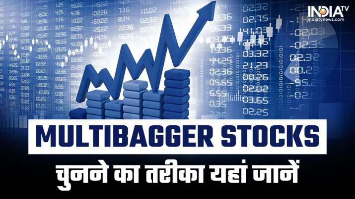 Identify multibagger stocks in this way, there will be bumper earnings even in the falling market
