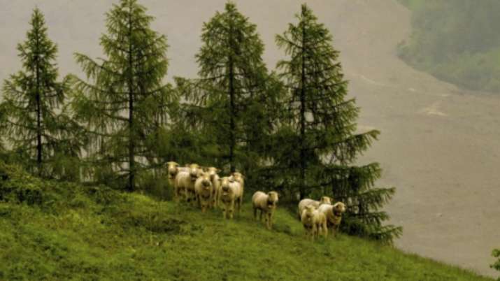 Swiss Glacier Collapse, Birch Glacier Disaster