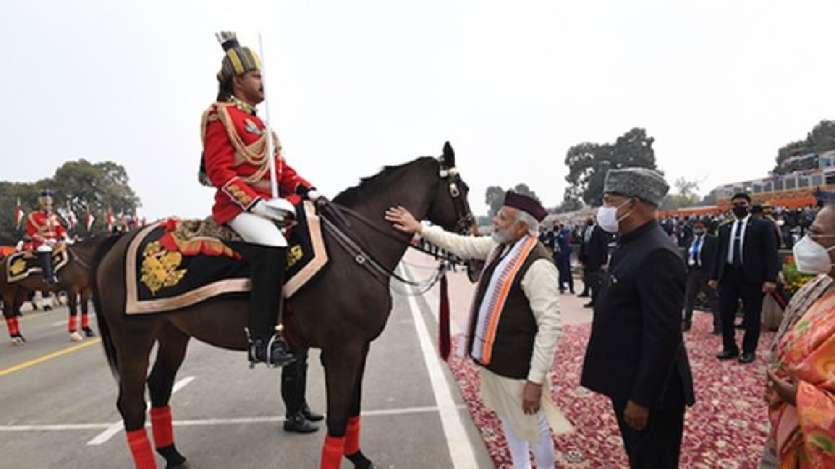 राष्ट्रपति के बॉडीगार्ड के घोड़े विराट को प्रधानमंत्री मोदी ने दी विदाई। राष्ट्रपति के बॉडीगार्ड के घोड़े विराट को प्रधानमंत्री मोदी ने दी विदाई।