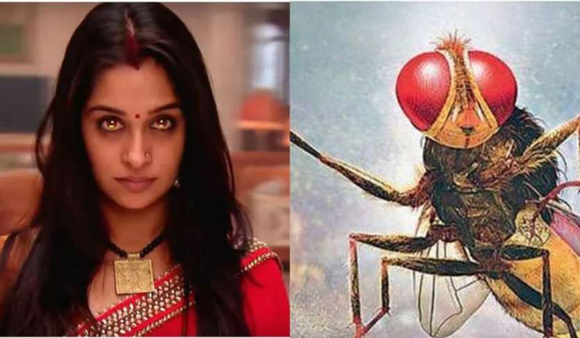 Deepika Kakkar starrer 'Sasral Samar Ka' has seen strange scenes.  In one scene, the protagonist turns into a fly due to a curse.  This scene has been trolled a lot on social media.