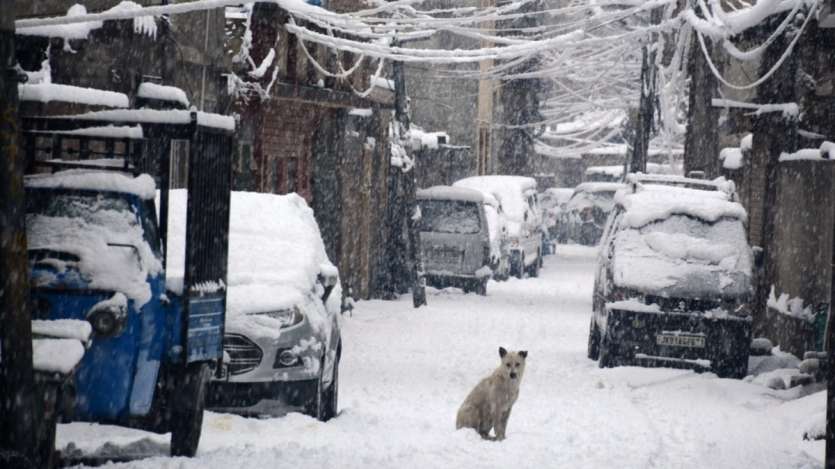 Fog is seen all around in Delhi in the morning. The department issued an alert saying that cold will start in the hilly areas from this week. Himachal Pradesh will also be affected by the cold.
