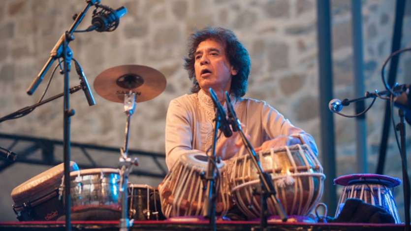 Dalam karirnya, Zakir Hussain tidak hanya berkolaborasi dengan banyak artis India termasuk Pandit Ravi Shankar, tetapi juga pernah bekerja sama dengan musisi ternama dunia seperti John McLaughlin dan Charles Lloyd. Hussain, yang menggubah lagu-lagu Bollywood, juga mencoba aktingnya.