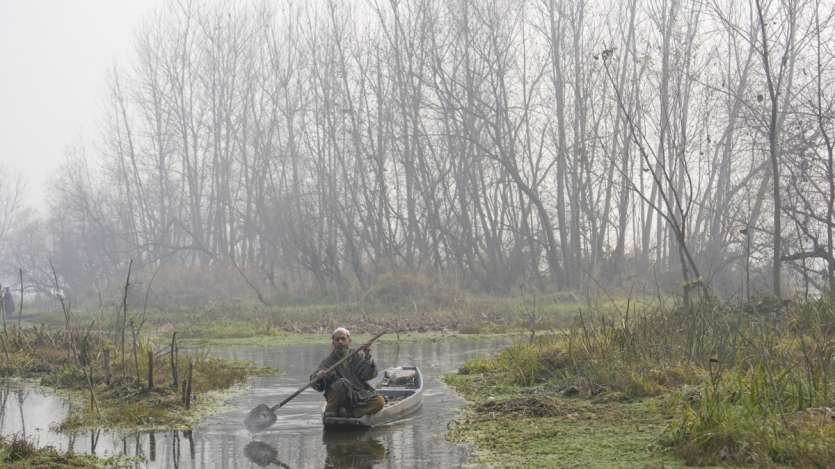 The cold is at its peak in Kashmir valley also. This picture is from the outskirts of Srinagar. A farmer rowing a boat while harvesting lotus stems in Anchar Lake. Lotus stem (nadru) is grown in various water bodies in the Kashmir valley, mainly in Dal Lake, Nigeen Lake, Anchar Lake and Manasbal Lake. A delicacy, nadru or lotus stem wrapped in clay is very tasty in Wajwan and being rich in Vitamin C it boosts immunity.