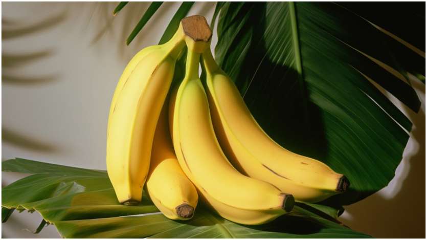 Protein dalam jumlah yang baik ditemukan dalam pisang. Jika Anda ingin merasa aktif sepanjang hari, maka sebaiknya sertakan pisang dalam sarapan Anda. Selain itu, Anda juga bisa menjadikan biji chia sebagai bagian dari rencana diet pagi Anda. Protein dalam jumlah yang baik ditemukan dalam pisang. Jika Anda ingin merasa aktif sepanjang hari, maka sebaiknya sertakan pisang dalam sarapan Anda. Selain itu, Anda juga bisa menjadikan biji chia sebagai bagian dari rencana diet pagi Anda.