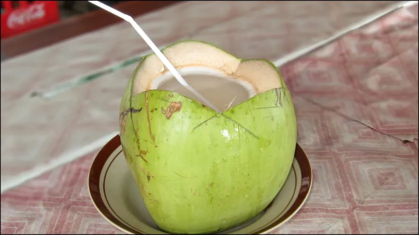 Jika Anda meminum air kelapa saat perut kosong di pagi hari, manfaatnya akan maksimal. Air kelapa mengandung asam laurat yang meningkatkan kekebalan tubuh dan membuat Metabazilm tajam.