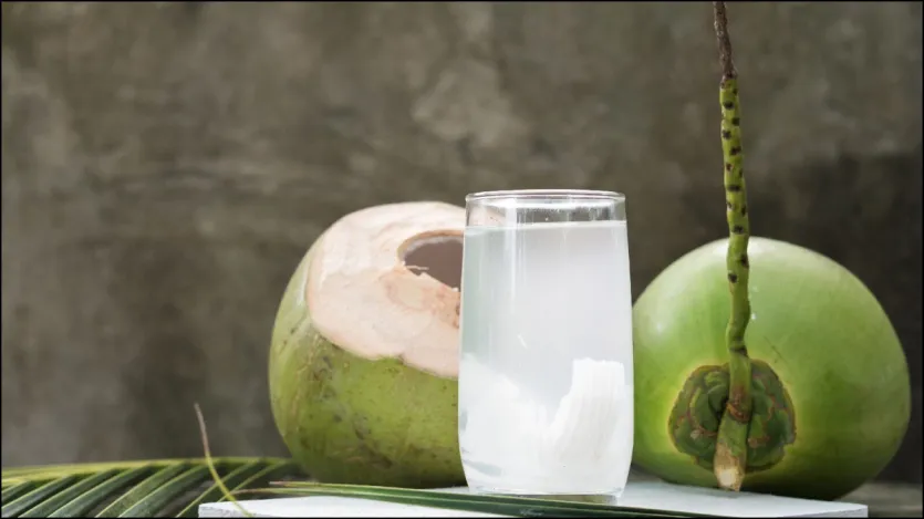 Minum air kelapa di pagi hari menurunkan berat badan dengan cepat. Ini memberikan energi pada tubuh sekaligus menurunkan berat badan dan menghilangkan rasa lelah. Minum air kelapa saat perut kosong di pagi hari baik bagi mereka yang mengurangi obesitas.