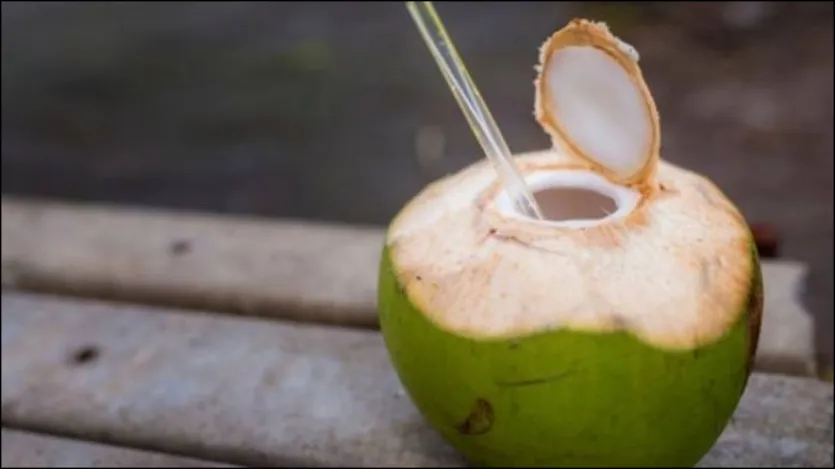 Air kelapa adalah minuman energi alami. Saat Anda berolahraga, minum air kelapa menjaga energi dalam tubuh. Hal ini membuat tubuh tetap terhidrasi. Minum air kelapa setelah latihan mulai mengembalikan elektrolit yang hilang dalam tubuh. 