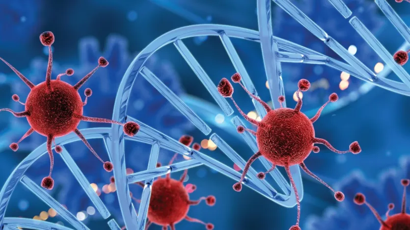 Compostos anti-inflamatórios e antioxidantes encontrados em nozes podem fornecer proteção contra certos tipos de câncer. Segundo vários estudos, a ingestão regular de nozes pode reduzir a possibilidade de câncer de mama, próstata e colorretal. Compostos anti-inflamatórios e antioxidantes encontrados em nozes podem fornecer proteção contra certos tipos de câncer. Segundo vários estudos, a ingestão regular de nozes pode reduzir a possibilidade de câncer de mama, próstata e colorretal.
