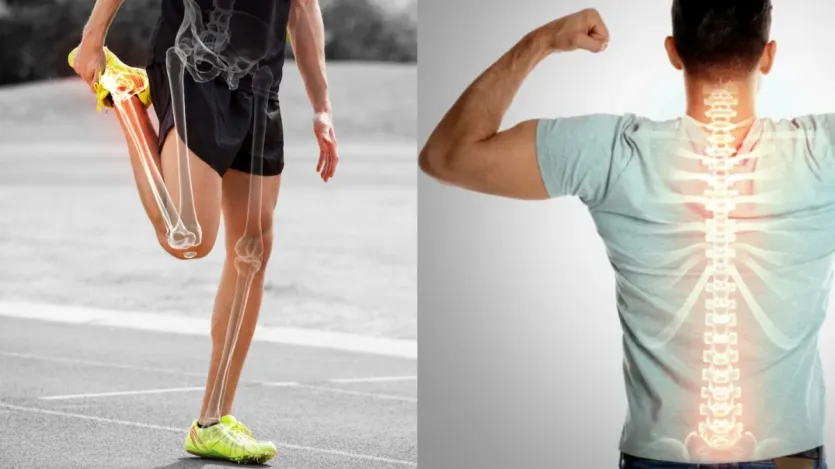 Com o envelhecimento, a densidade dos ossos diminui gradualmente, o que faz com que os ossos enfraqueçam. Devido ao enfraquecimento dos ossos, as pessoas começam a ser vítimas da osteoporose. Além disso, a maior razão por trás do enfraquecimento dos ossos é a má comida e a falta de exercício. A artrite aumenta a dor nas articulações, inchaço e rigidez. Em tal situação, os ossos devem ser fortes, portanto, inclua essas poucas coisas em sua rotina diária.